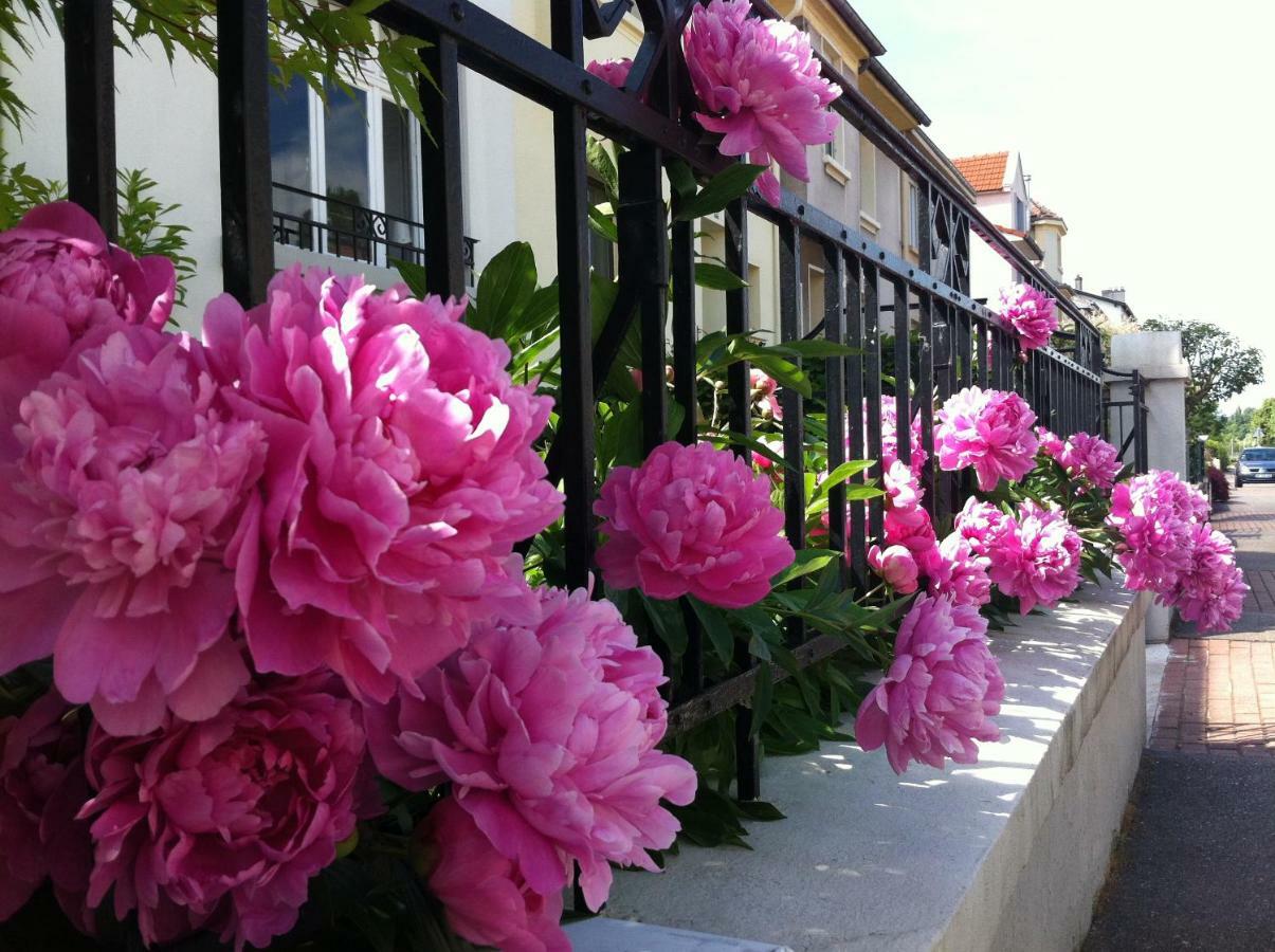Longeville-les-MetzLes Jardins De L'Ileアパートメント エクステリア 写真