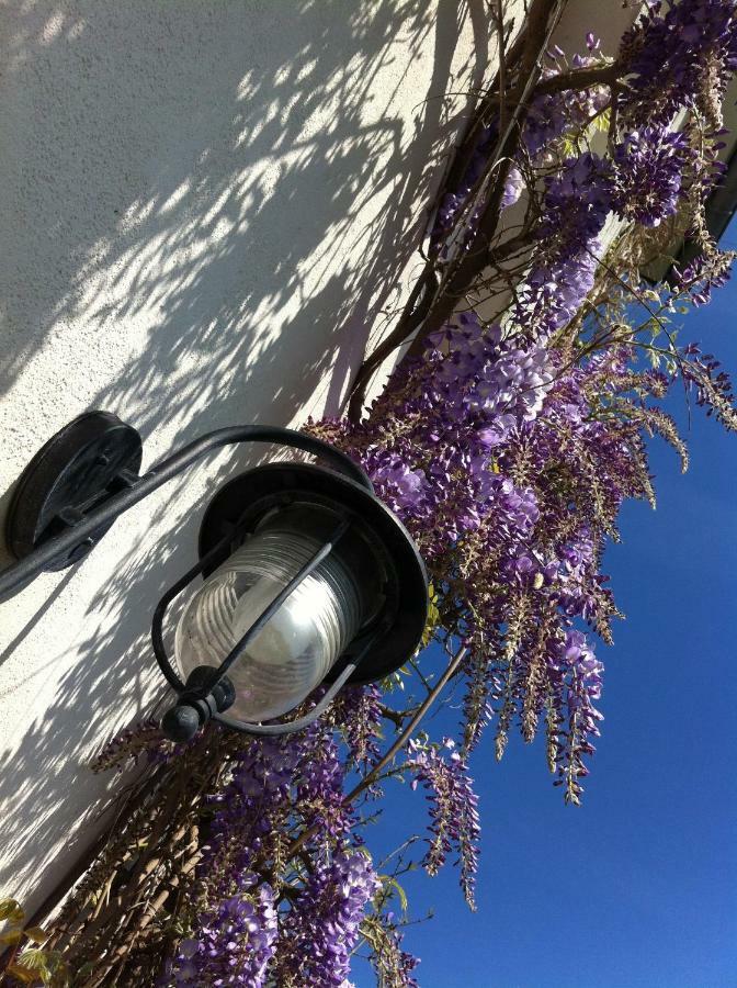 Longeville-les-MetzLes Jardins De L'Ileアパートメント エクステリア 写真